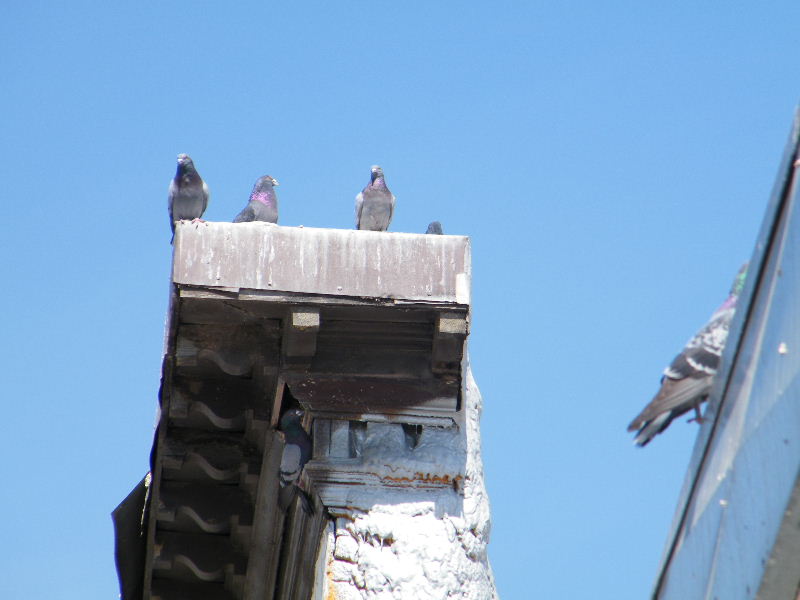 DSCF3973.JPG