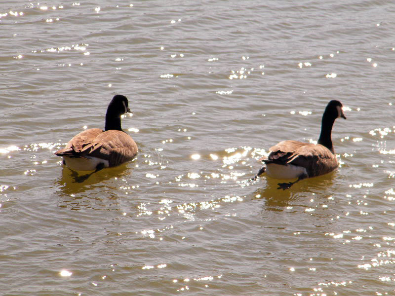 DSCF4018.JPG