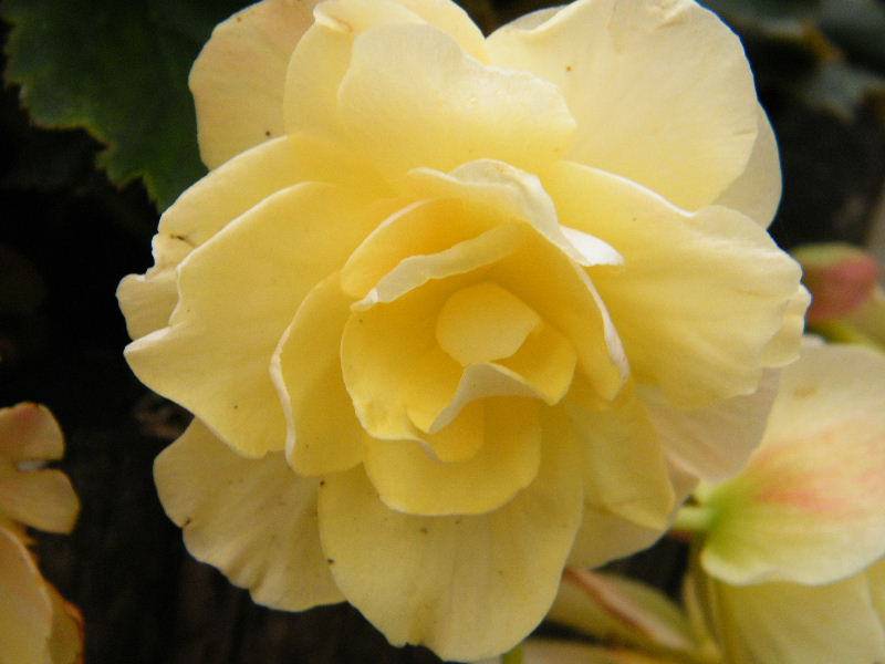 DSCF5623.JPG
