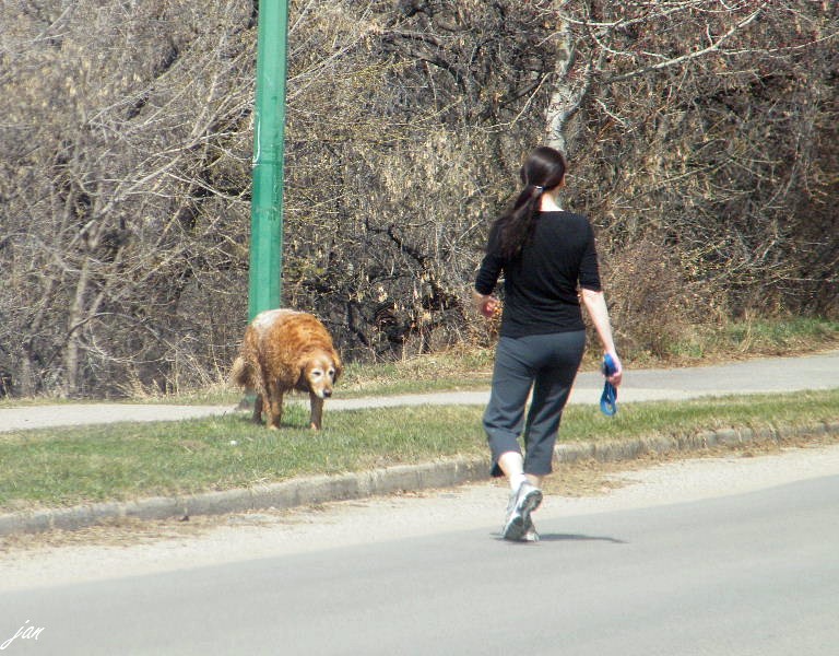 DSCF3981.JPG