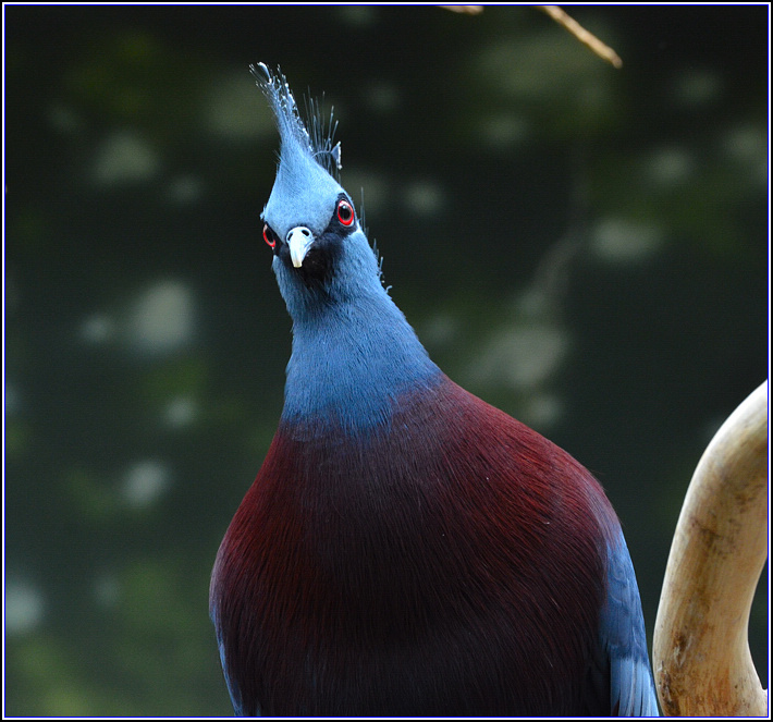 DSC_2975.jpg