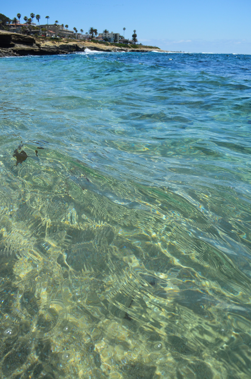 DSC_1650_18.jpg