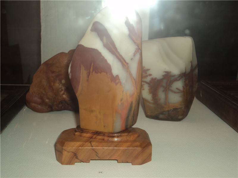 DSC07434.jpg