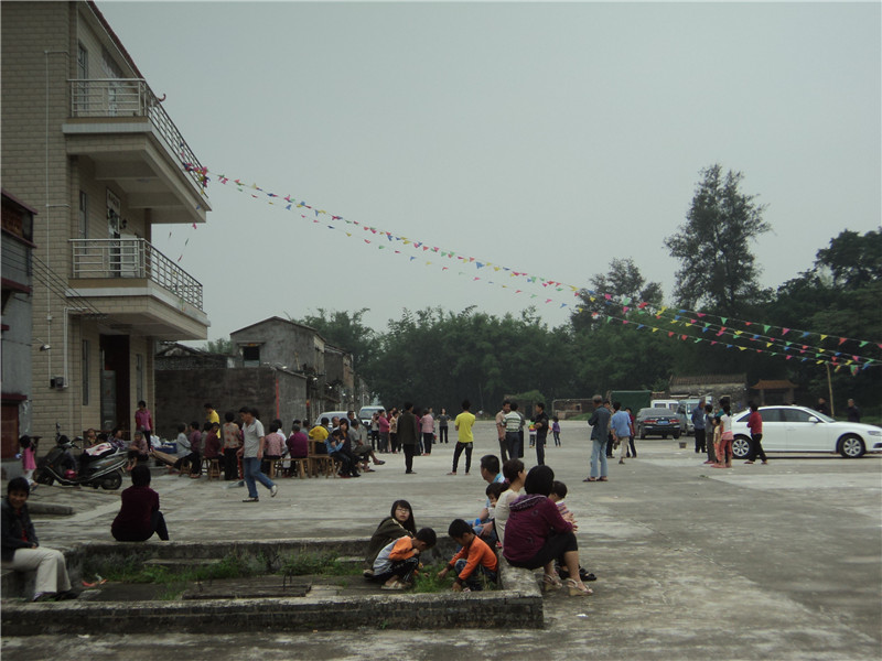DSC08631.jpg