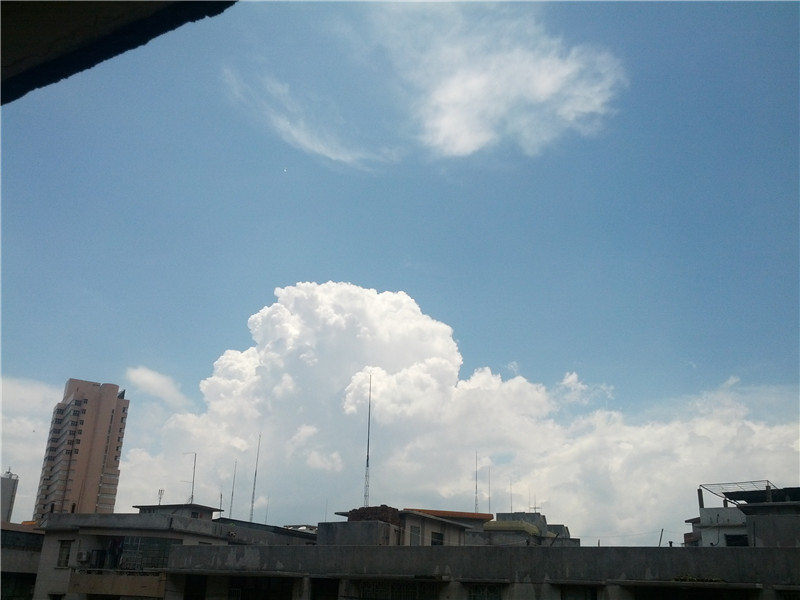 IMG_20130531_130158.jpg