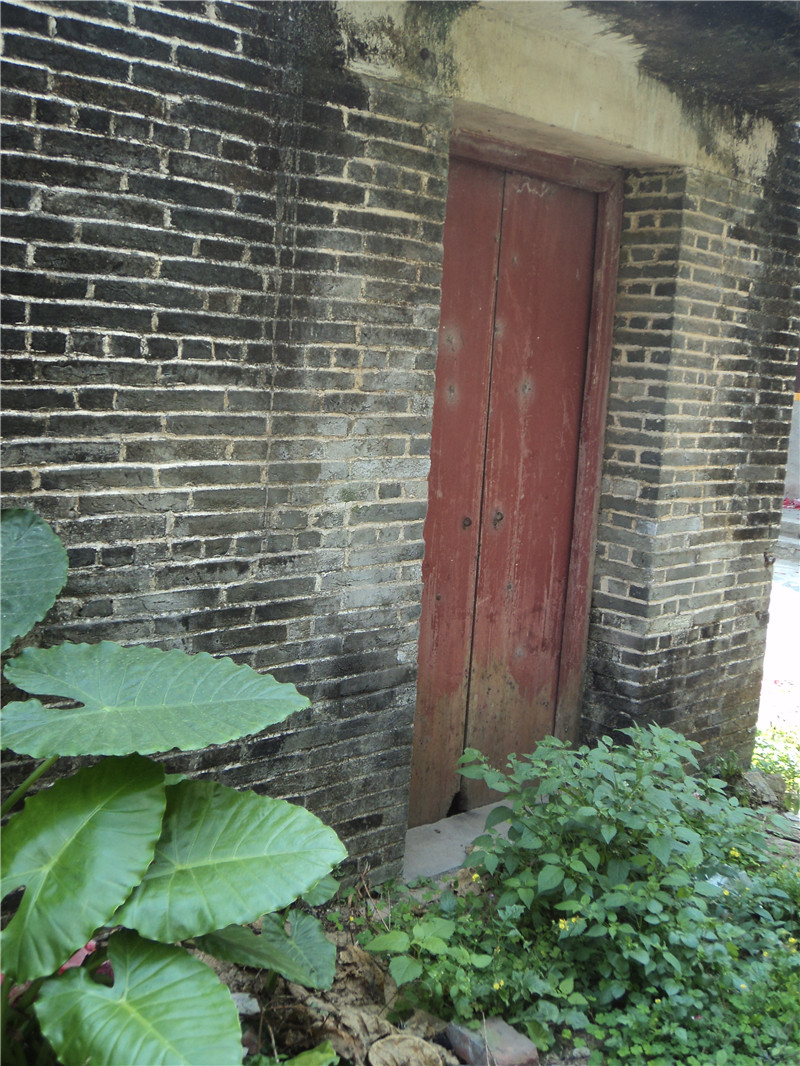 DSC07535.jpg