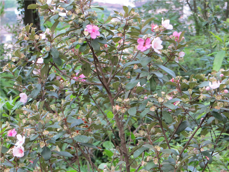 IMG_0436.jpg