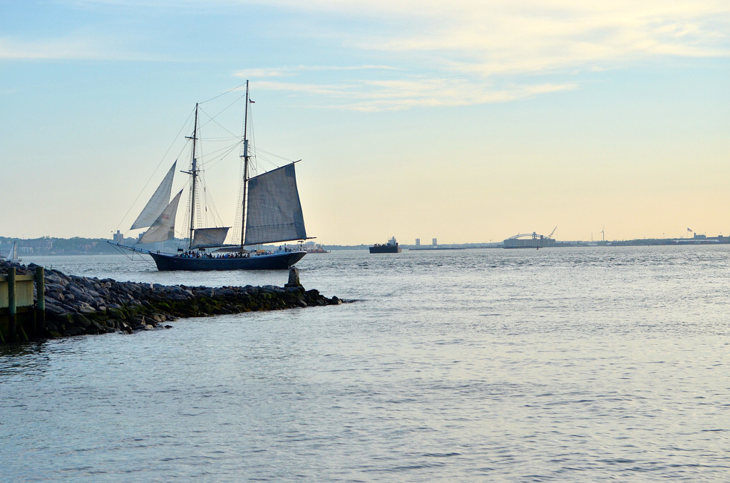 DSC_4265.jpg