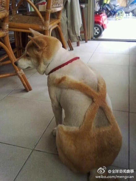 QQͼƬ20130525124709.jpg