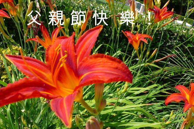 P1270669-001.JPG