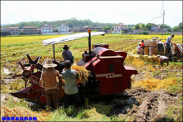 IMG_5426_conew1.jpg