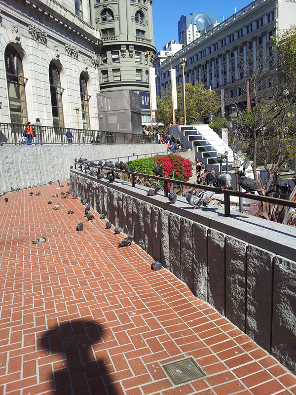20120918_150909_.jpg