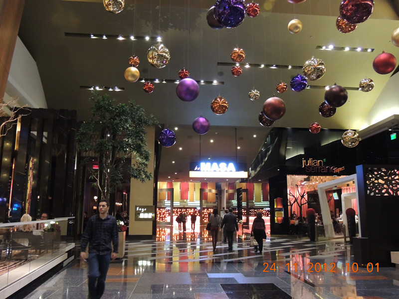 2012thanksgiving-las vegas 213_.jpg
