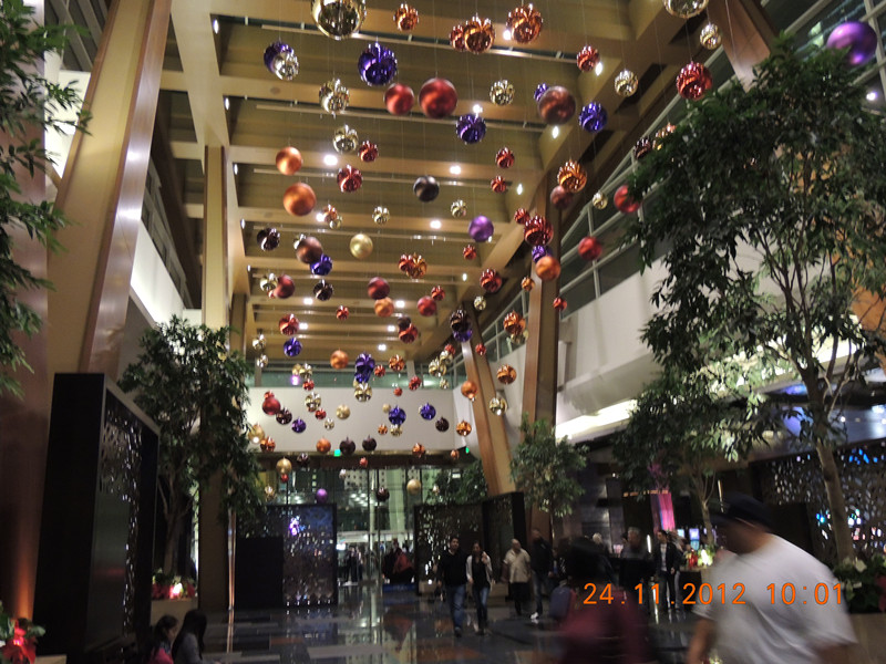 2012thanksgiving-las vegas 212_.jpg