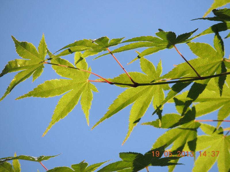 live 1276_.jpg