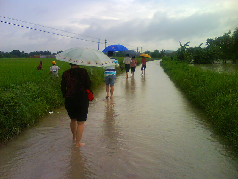 DSC00124_.jpg