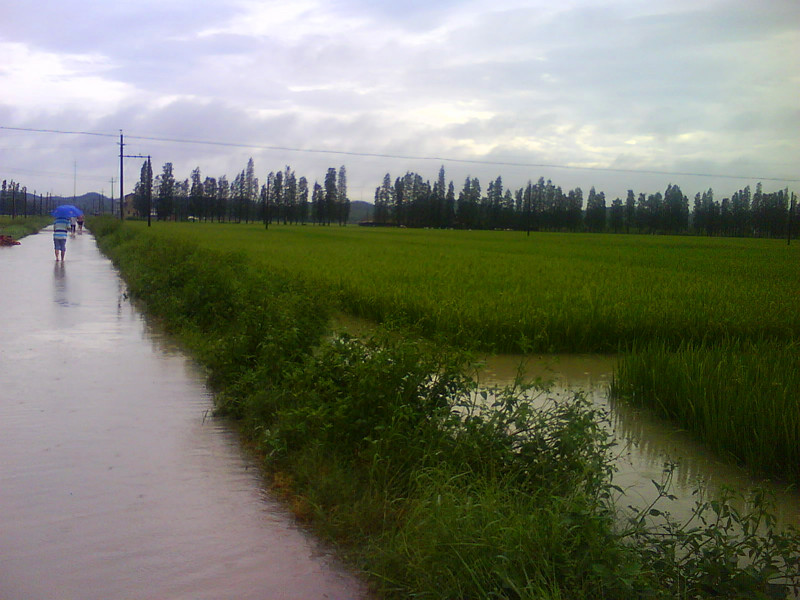 DSC00136_.jpg