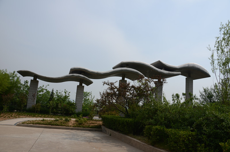 DSC_4171_.jpg
