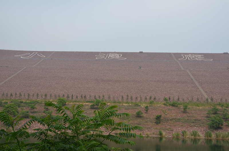 DSC_4188_.jpg