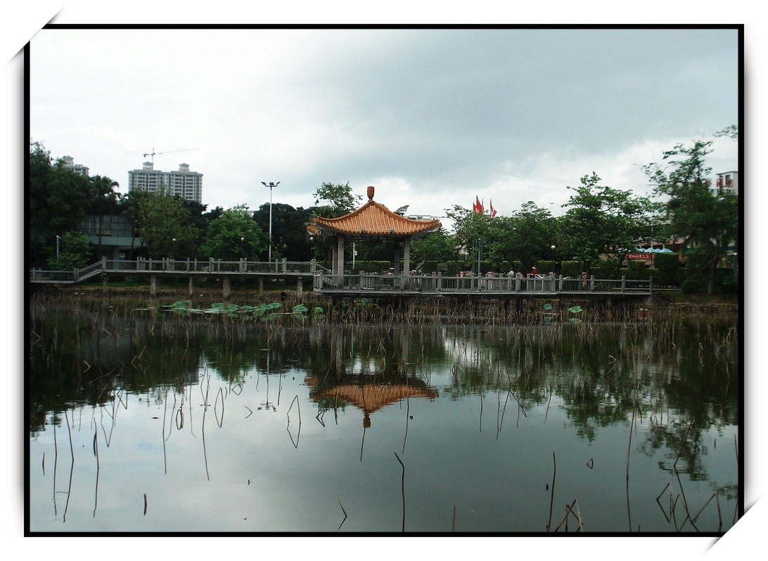 DSC00362f.jpg