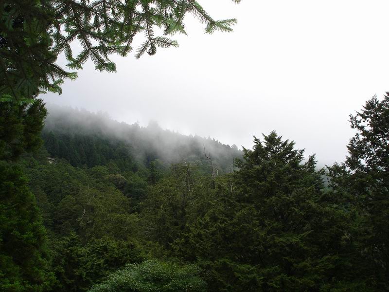 С DSC02636.JPG