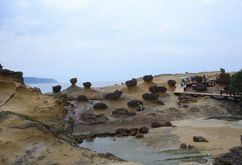 С DSC02517.JPG
