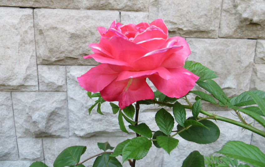 IMG_0001_3374.jpg