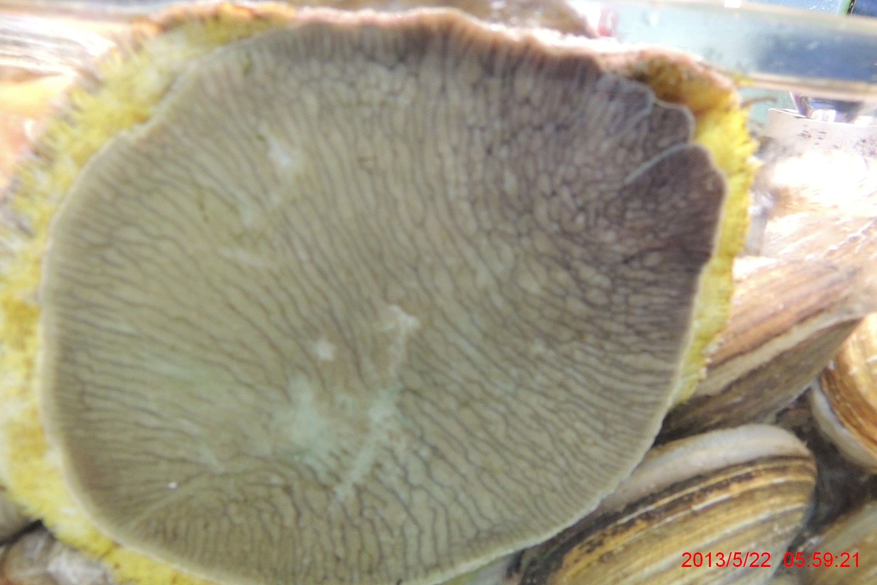 DSCN0271.jpg