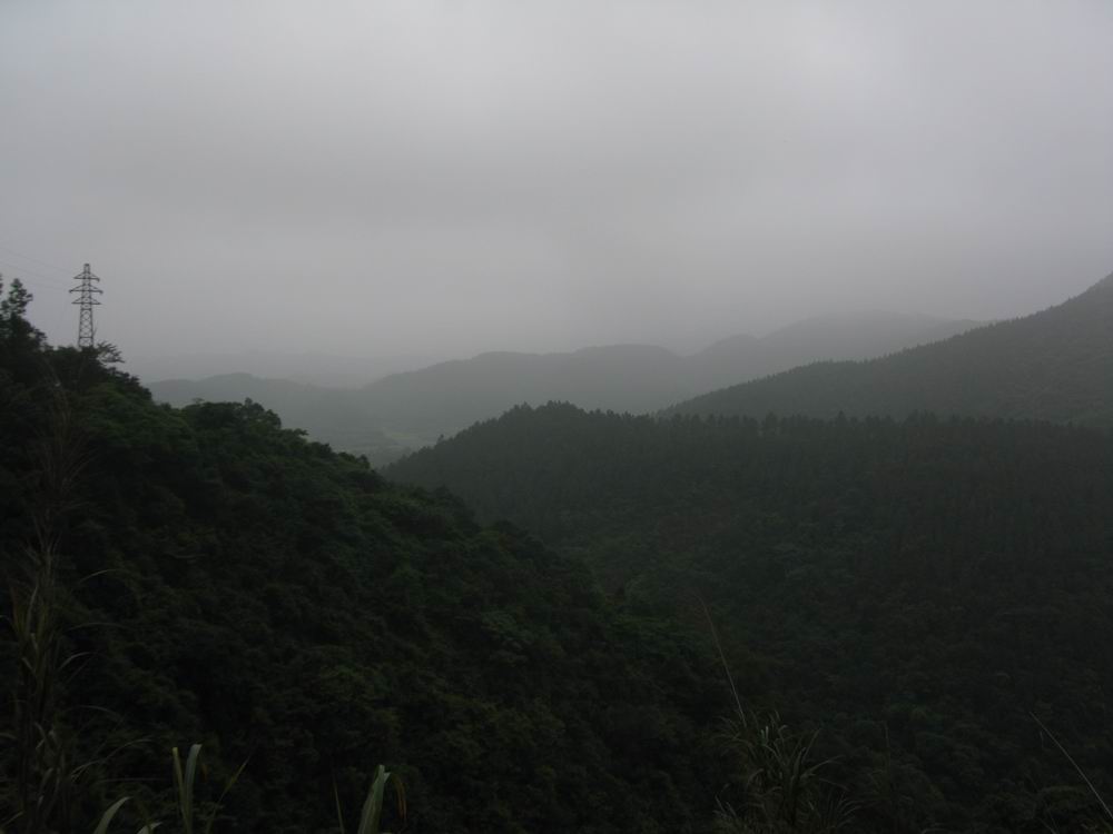 IMG_3113.JPG