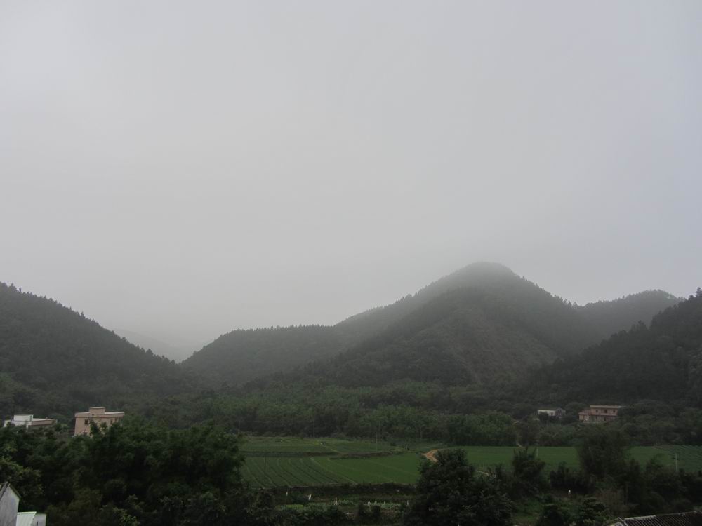 IMG_5501.JPG