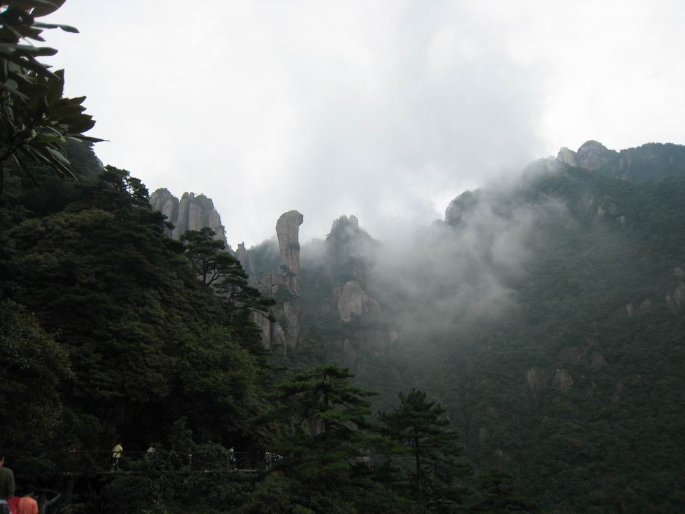 IMG_1074.jpg
