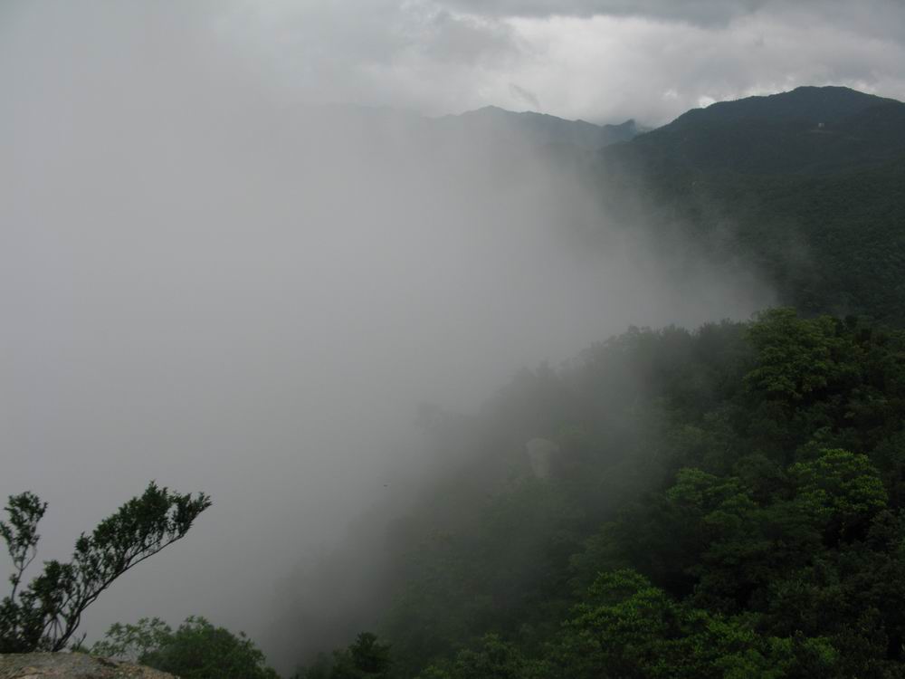 IMG_3292.JPG