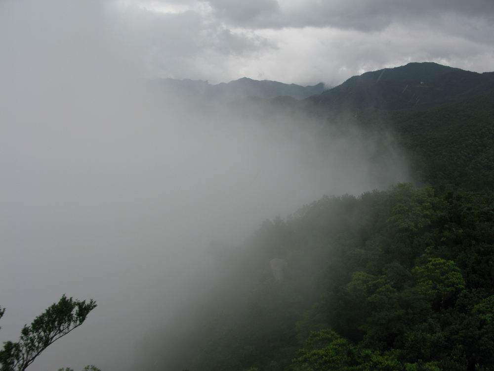 IMG_3291.JPG