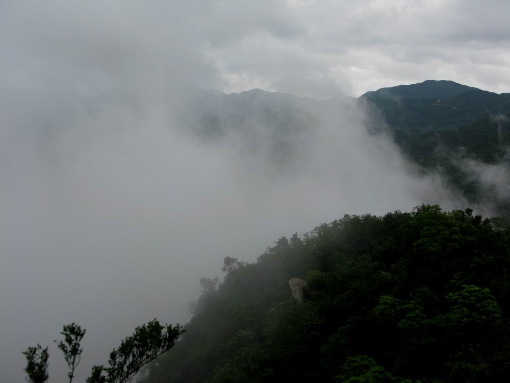 IMG_3275.JPG
