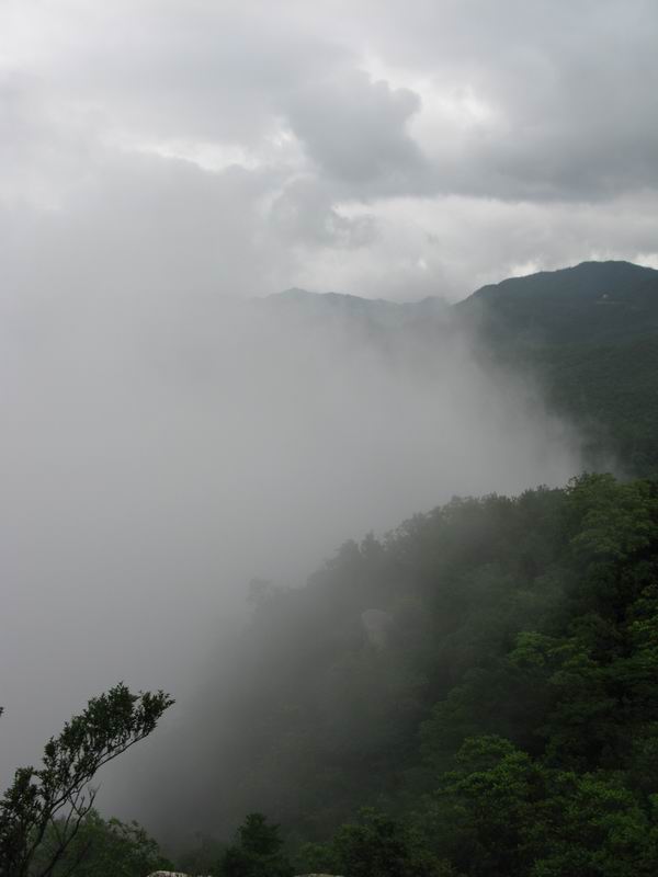 IMG_3289.JPG