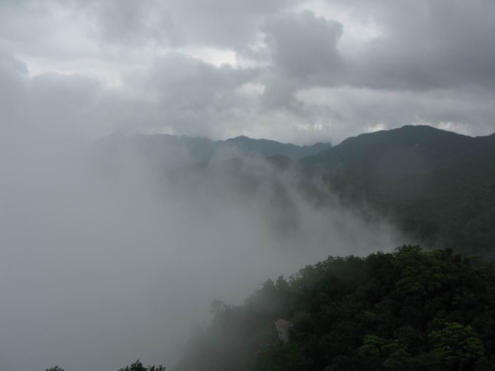 IMG_3288.JPG