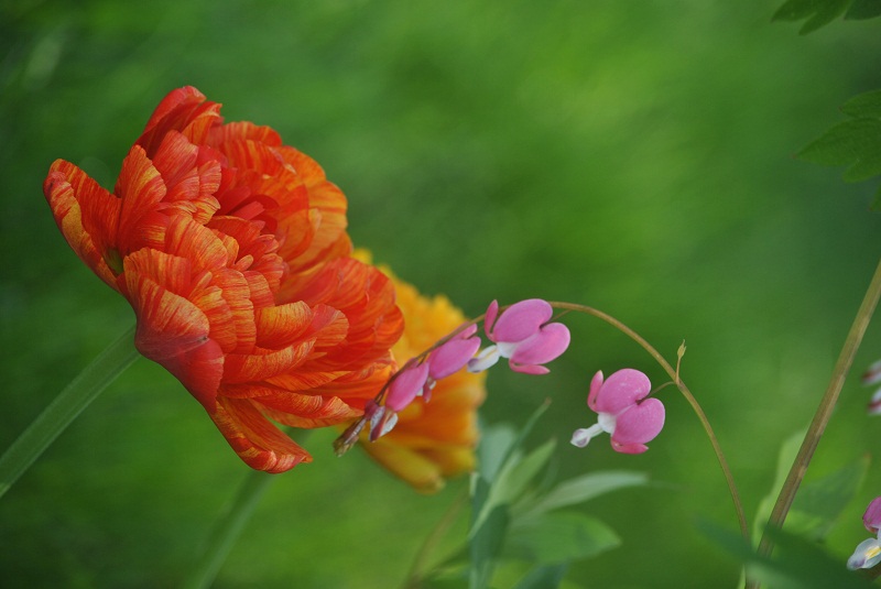 DSC_0320.JPG