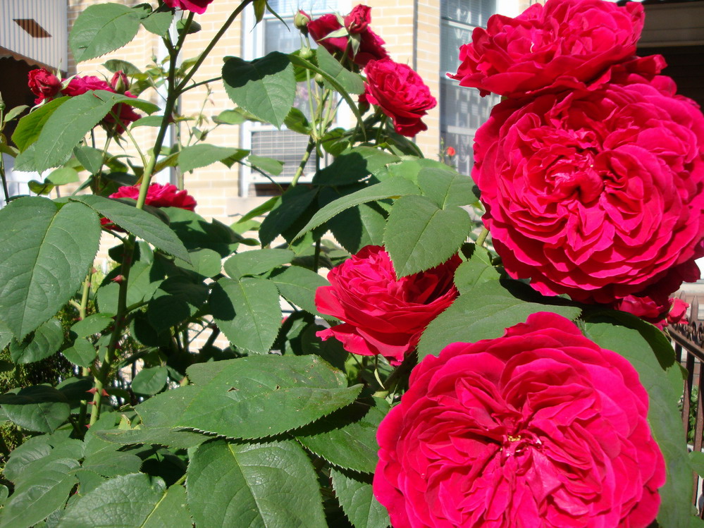 DSC05547.JPG