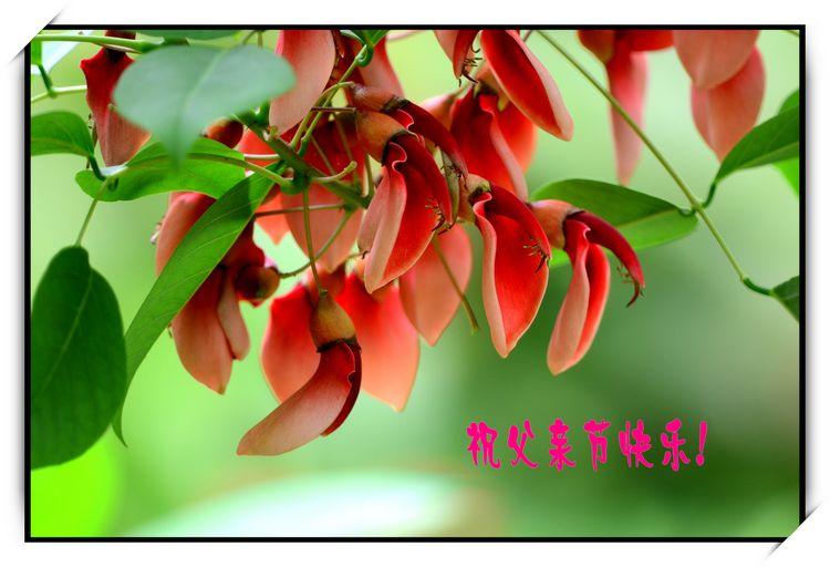 DSC_4522_conew3.jpg