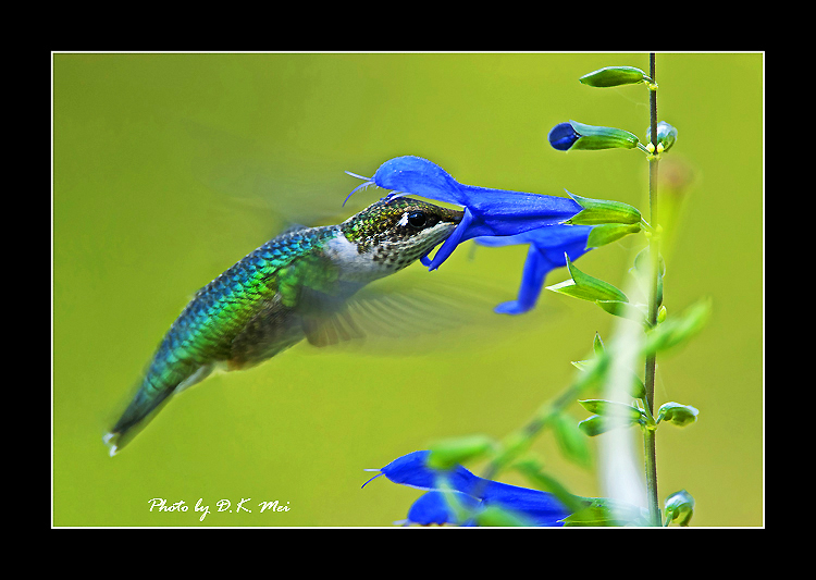 DSC_0001B1.jpg