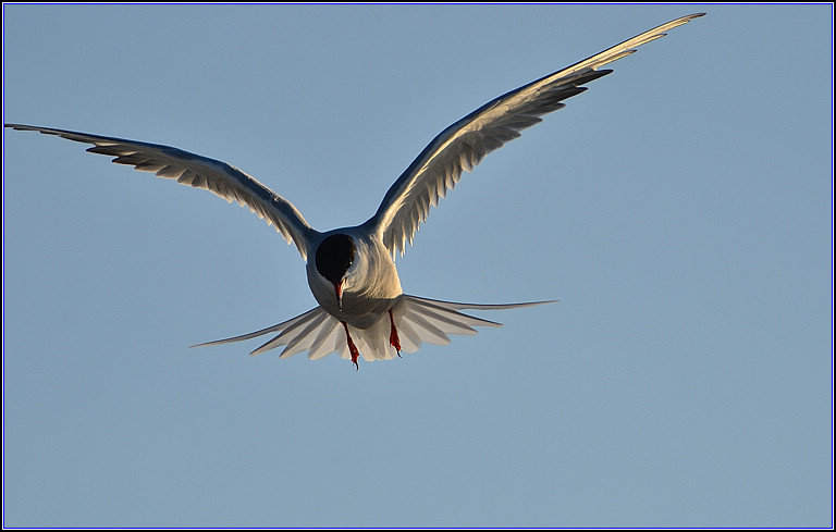 DSC_7656.jpg