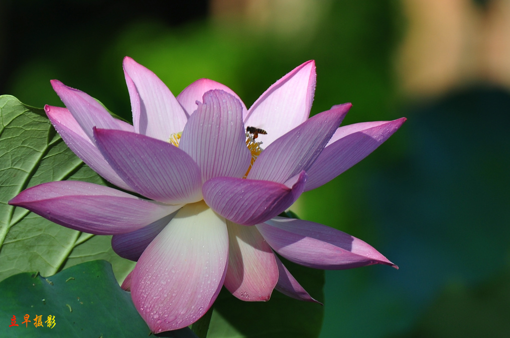 DSC_9414.JPG