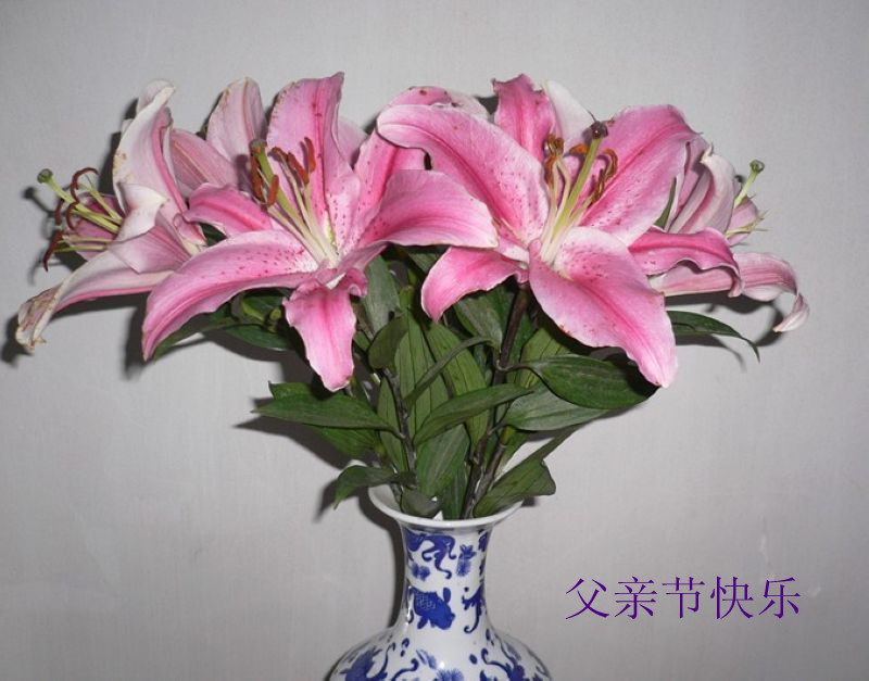 P1190509__.jpg
