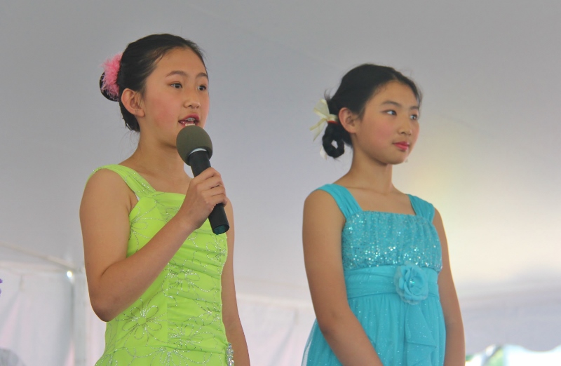 D 1127 (800x522).jpg