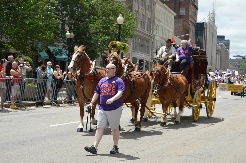 DSC_0173 (800x532) (2).jpg