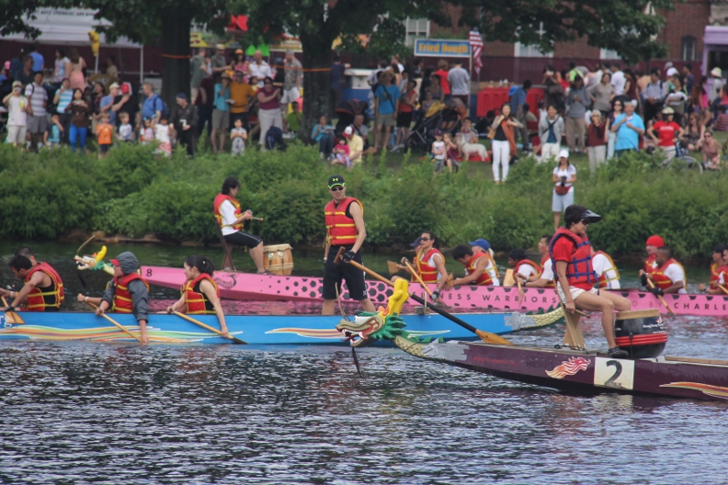 D 409 (800x533).jpg