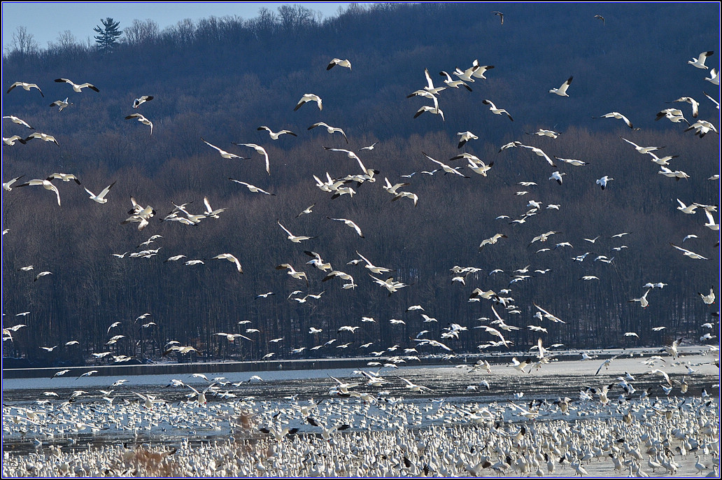 DSC_3656.jpg