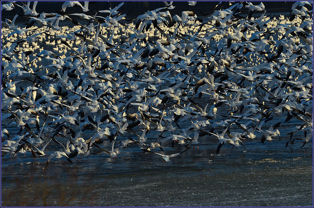 DSC_3872.jpg