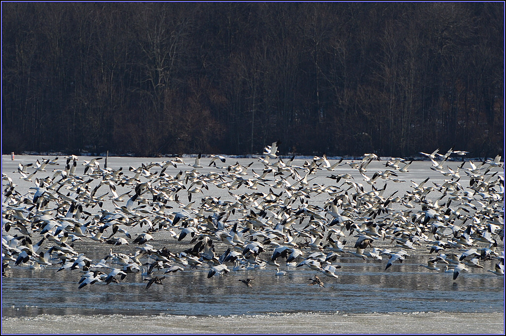 DSC_3753.jpg