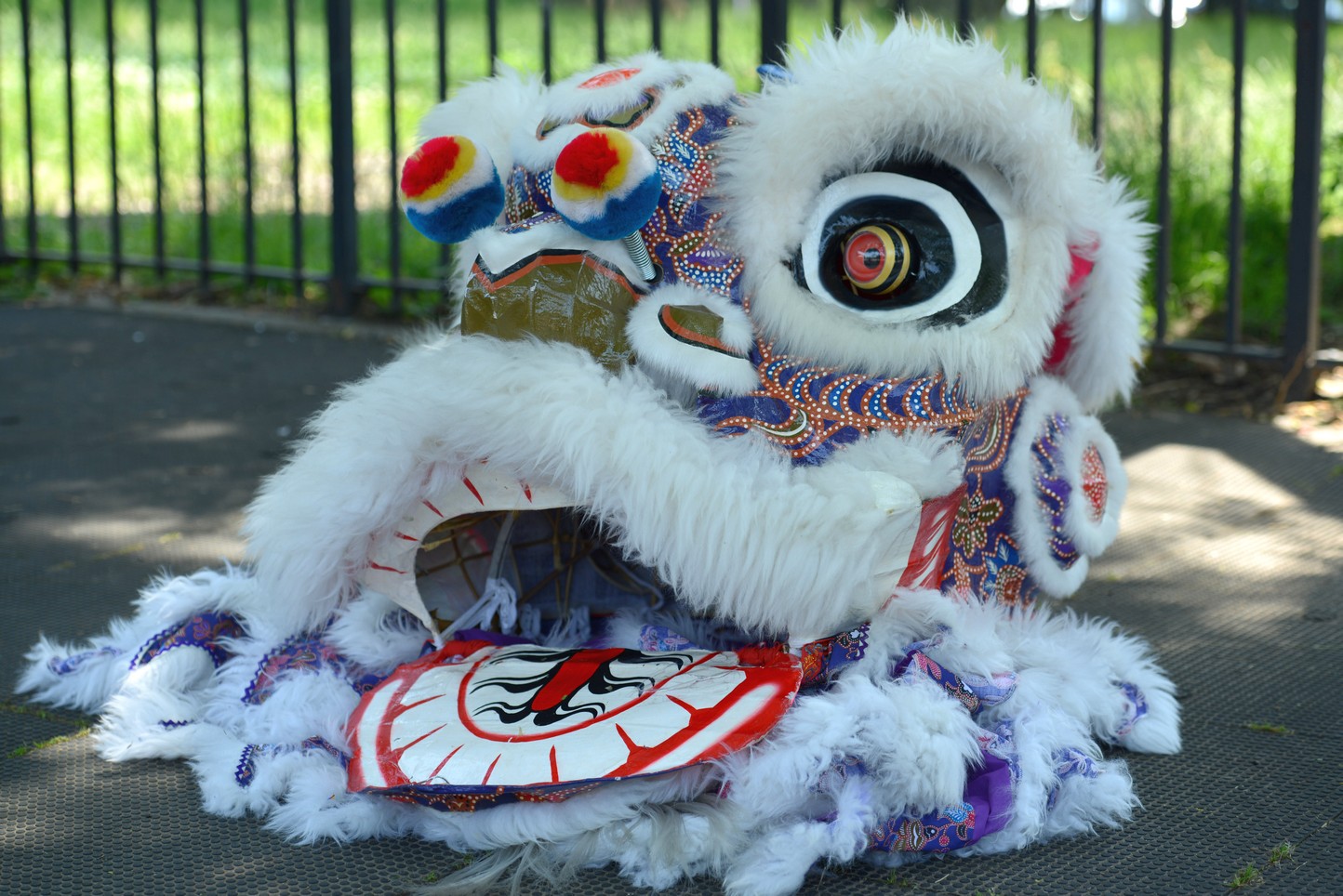 DSC_5646.jpg
